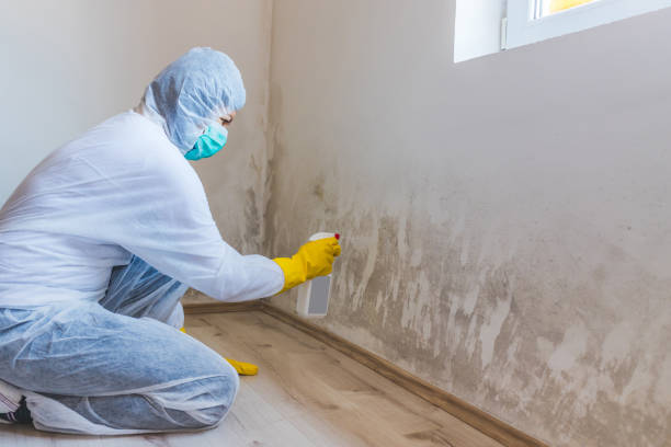 Crawl Space Mold Remediation treatment of floor joists in Maple City